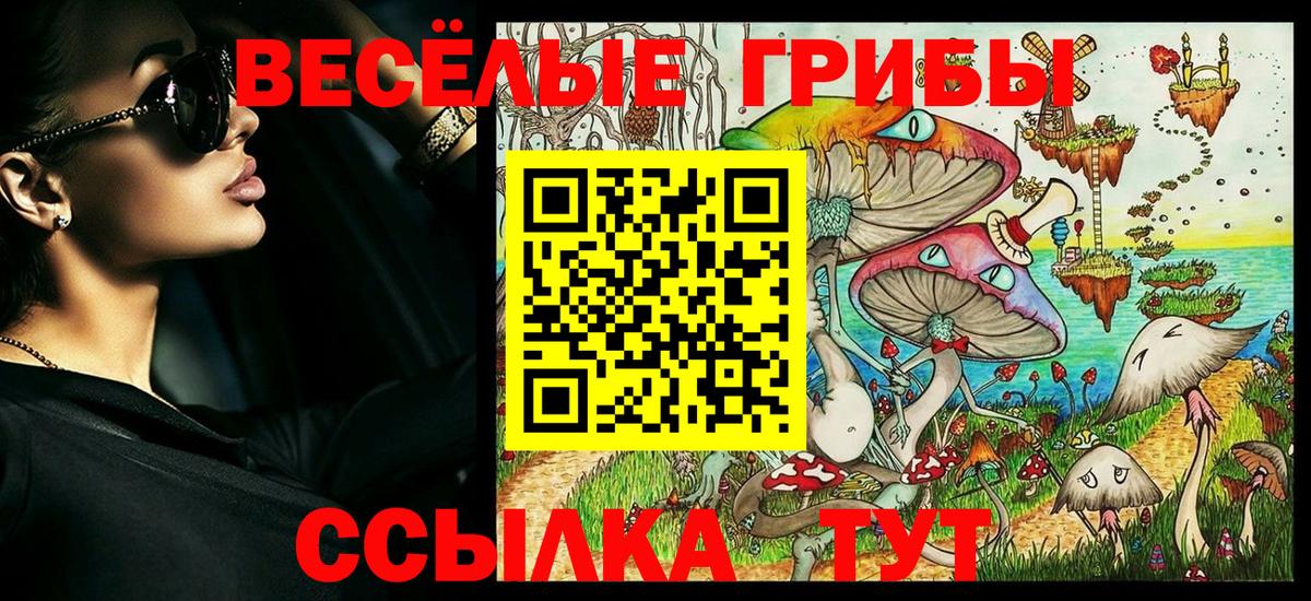 Галлюциногенные грибы Psilocybe  даркнет сайт  Ртищево  Псилоцибиновые грибы Psilocybine cubensis  Вход с VPN 