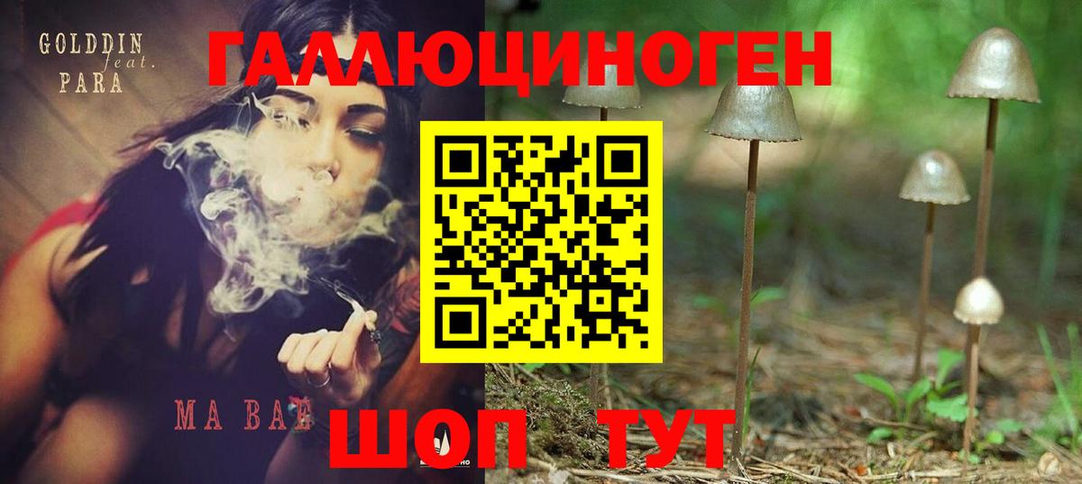 Псилоцибиновые грибы GOLDEN TEACHER Ртищево